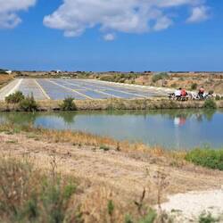 Die ersten Salzfelder