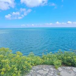Auf der Stadtmauer von St. Martin