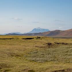 Herðubreið die „Königin der Berge Islands“