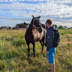 🐴❤️