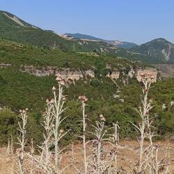 ...dann ging es zu dem Canyon