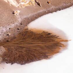 Sieht aus wie ein Baum...