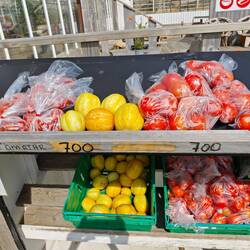frische Tomaten und Zitronengurken