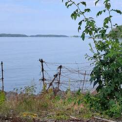 Showing the original barbed wire.