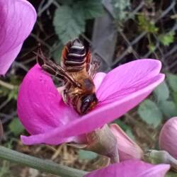 Da stürzt sich jemand so richtig in die Arbeit 💪🏻