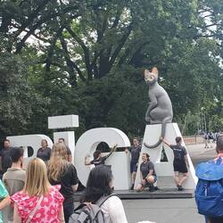 The movie "Flow" written by 3 Rigans. Saw it on the plane. Unusual.