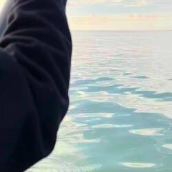 Très cocasse cette annexe