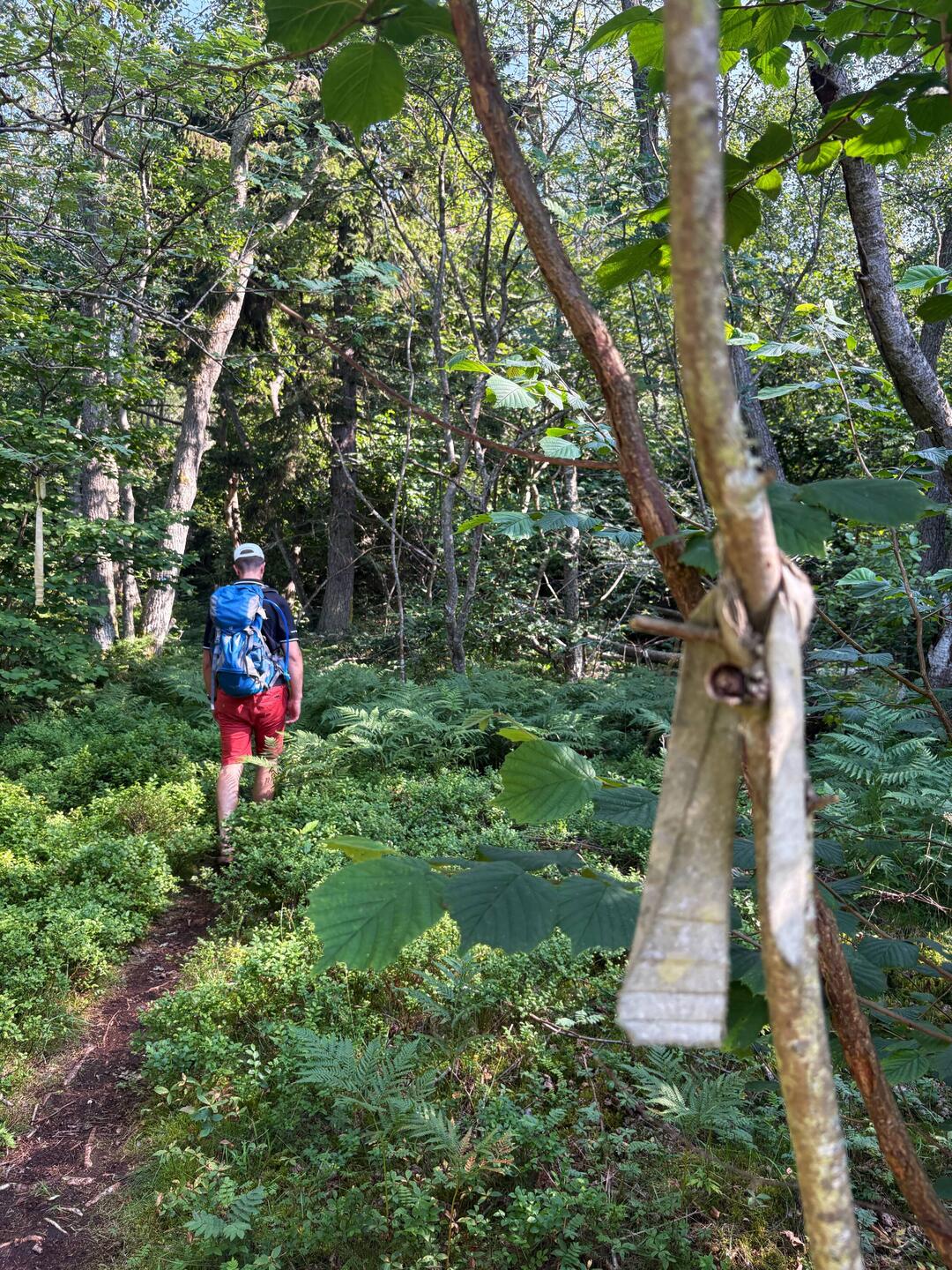 Der "Stofffetzenweg"