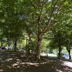 "Our" terrace in the campsite