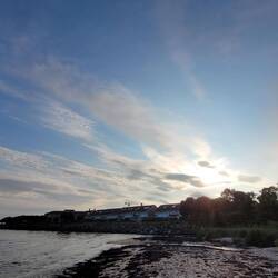 Abendstimmung am Strand, leider viel angeschwemmtes Seegras