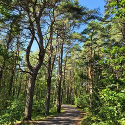 Weg vom Campingplatz zum Meer