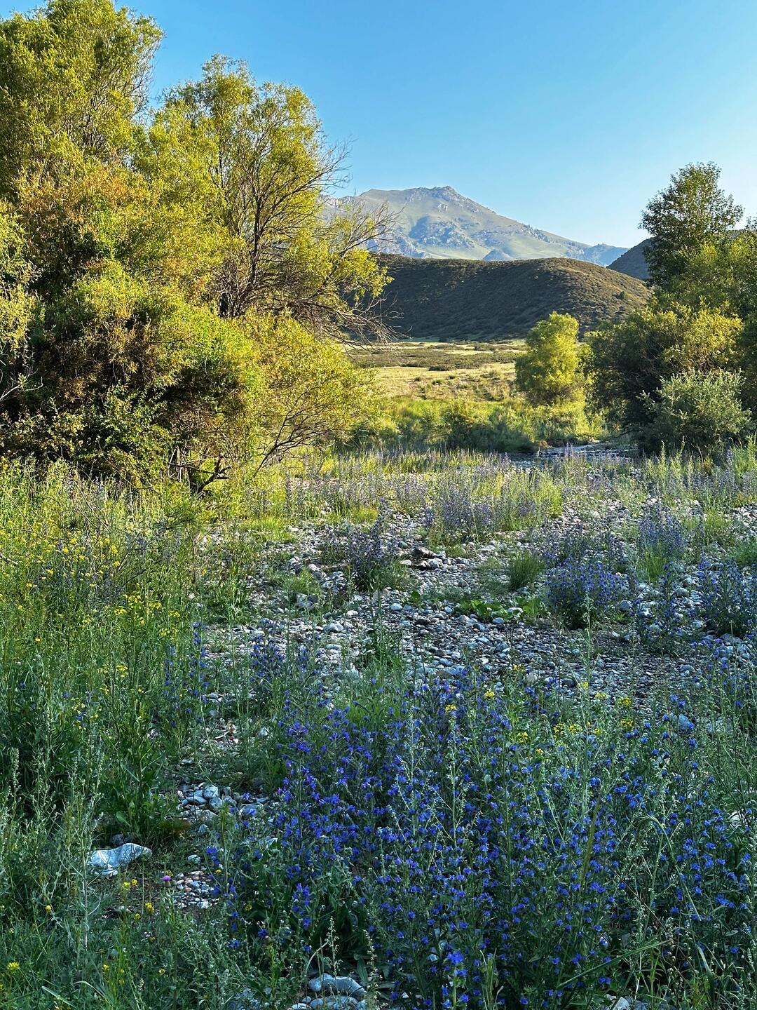 Frühstück Kaffee mit Aussicht