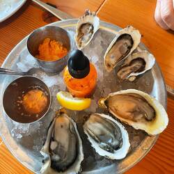 Oysters