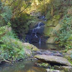 ...und im Wald liegenden Wasserfällen führt