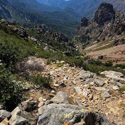 Das ist der Weg! Wie da das Vieh hoch und runter kommt