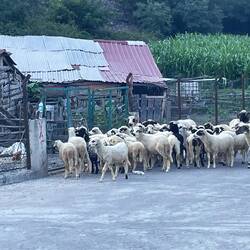 Samsun ausserhalb