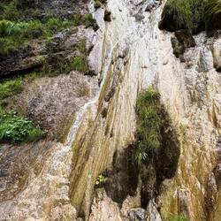 In der Almbachklamm