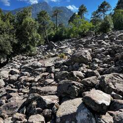 Hätten wir auch mal drauf verzichtet