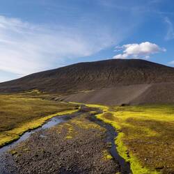 Versprochen: das Grün ist nicht nach-coloriert