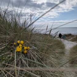 Ab an den Strand