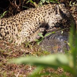 Und schon mal anfangen zu essen