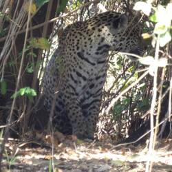 interessierte sich für ein Mittagessen