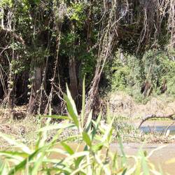 Und dann versteckte sie sich hier