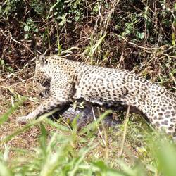 In Sicherheit bringen