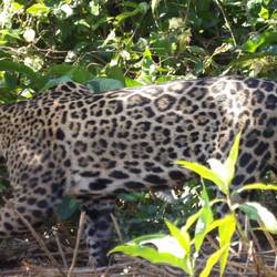 Immer am Ufer entlang