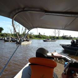 Wenn ein Jaguar auftaucht