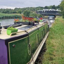 Moored close to Sutton Swing Bridge