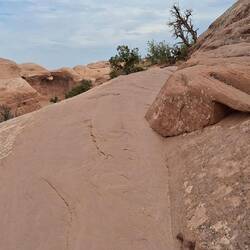 Delicate Arch Trail