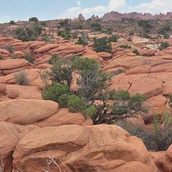 Fiery Furnace Viewpoint