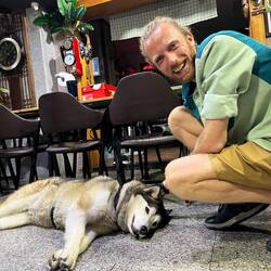 The resident giant husky at our hostel, whose name is Doggy.