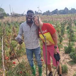 Erkenne den Unterschied