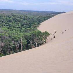 Die Bilder geben die Realität kaum wieder