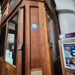 The camino pilgrimage shell