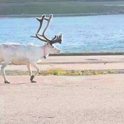 Abendbesuch im Hafen