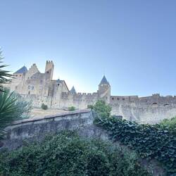 From our courtyard, the old city of Carcassonne