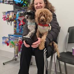 Kerrie mit Chester und Maggie beim Tierarzt
