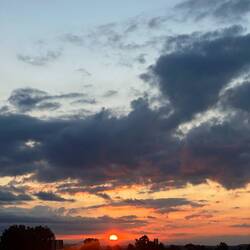 This morning's sunrise after we bused into Virgen del Camino, about 7 km from Leon