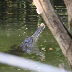Feeding time for the freshies
