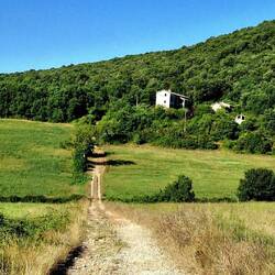 Prachtige paden en bossen vandaag.