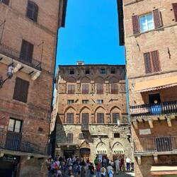 De toeristen zoeken voortdurend de schaduwplekken op.