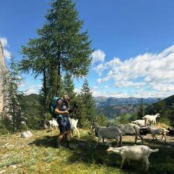 Mein Schweiss/Salz - ein Leckerschlecken!😂