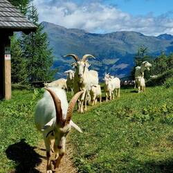 Na, na, schön friedlich bleiben!😂