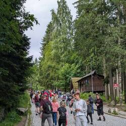 Unerwartete Völkerwanderungen