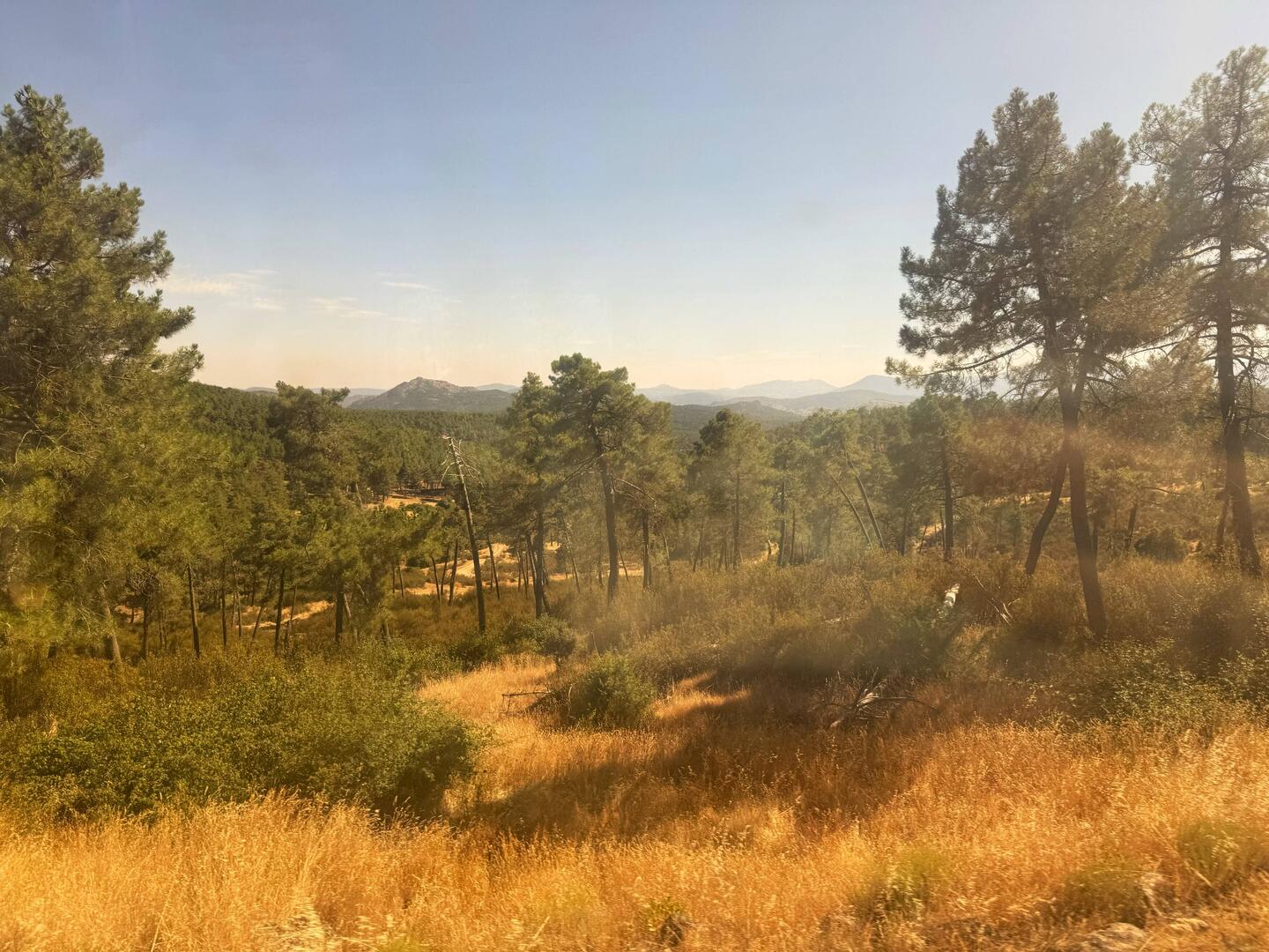 The countryside outside of Madrid really reminds me of northern NM/southern CO