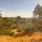 The countryside outside of Madrid really reminds me of northern NM/southern CO