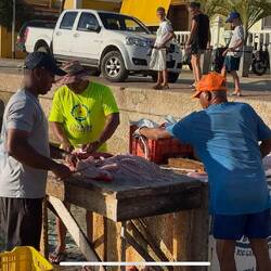 hier wird am Abend der Tagesfang an Fischen ausgenommen